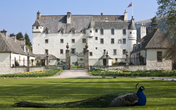 42-254327631-1680x1050